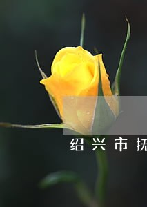 绍兴市抚养权律师哪里找 绍兴市抚养权律师哪里找