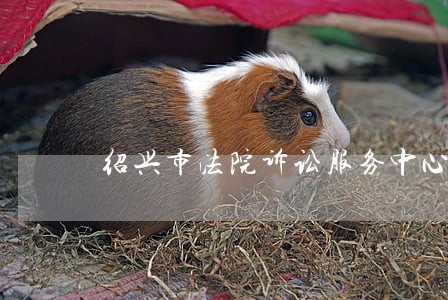 绍兴市法院诉讼服务中心 绍兴市法院诉讼服务中心