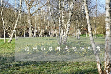 绍兴市涉外离婚律师费 绍兴市涉外离婚律师费
