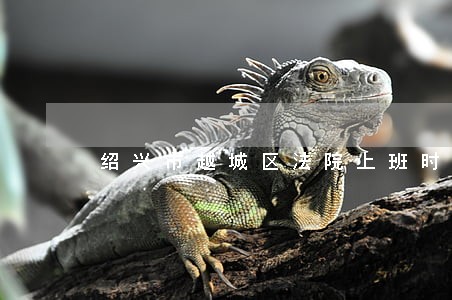 绍兴市越城区法院上班时间 绍兴市越城区法院上班时间