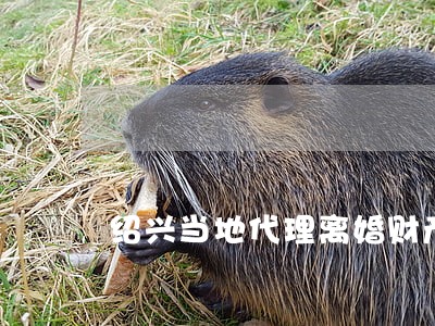 绍兴当地代理离婚财产律师 绍兴当地代理离婚财产律师