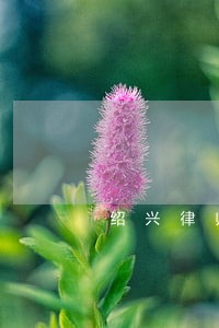 绍兴律师咨询 绍兴律师咨询