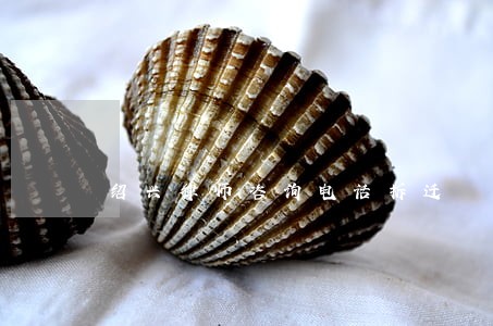 绍兴律师咨询电话拆迁 绍兴律师咨询电话拆迁