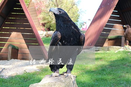 绍兴徐民法