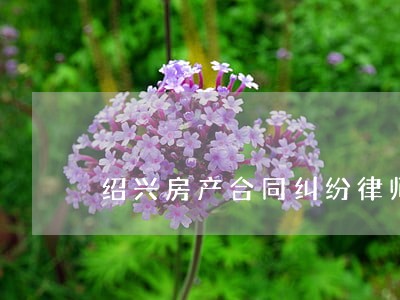 绍兴房产合同纠纷律师 绍兴房产合同纠纷律师
