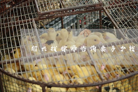 绍兴找律师咨询要多少钱 绍兴找律师咨询要多少钱