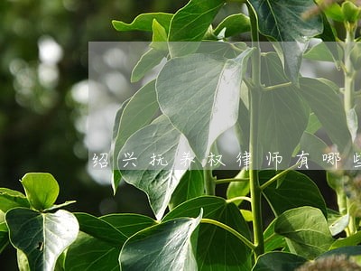 绍兴抚养权律师有哪些 绍兴抚养权律师有哪些