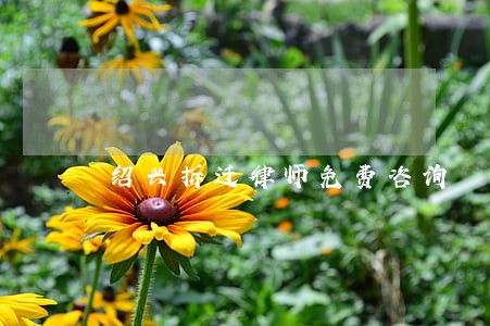 绍兴拆迁律师免费咨询 绍兴拆迁律师免费咨询