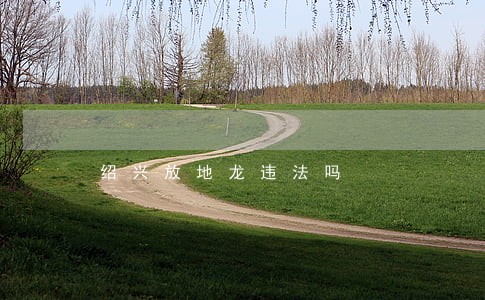 绍兴放地龙违法吗 绍兴放地龙违法吗
