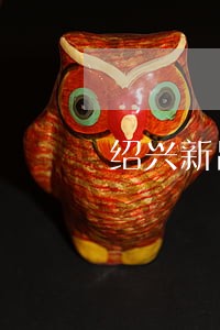 绍兴新昌司法伤残鉴定