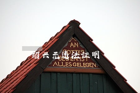 绍兴无违法证明 绍兴无违法证明