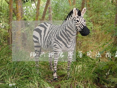 绍兴柯岩房屋司法拍卖