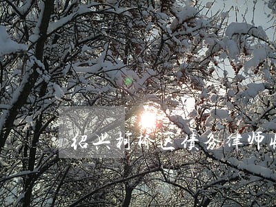 绍兴柯桥区债务律师收费 绍兴柯桥区债务律师收费