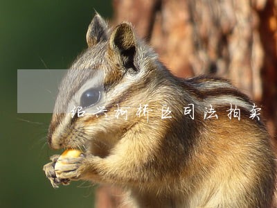 绍兴柯桥区司法拍卖 绍兴柯桥区司法拍卖