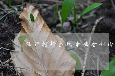 绍兴柯桥区民事债务纠纷律师团 绍兴柯桥区民事债务纠纷律师团