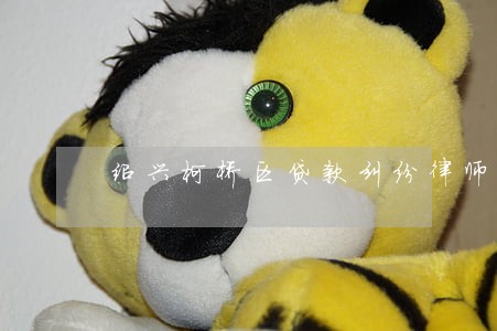 绍兴柯桥区贷款纠纷律师电话微信 绍兴柯桥区贷款纠纷律师电话微信
