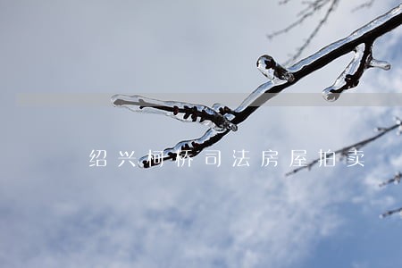 绍兴柯桥司法房屋拍卖 绍兴柯桥司法房屋拍卖