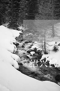 绍兴民事债务纠纷律师团队 绍兴民事债务纠纷律师团队