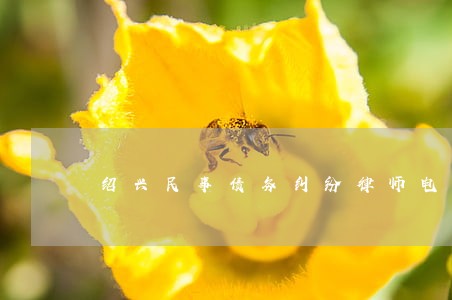 绍兴民事债务纠纷律师电话咨询 绍兴民事债务纠纷律师电话咨询