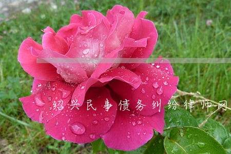 绍兴民事债务纠纷律师网 绍兴民事债务纠纷律师网