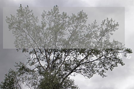 绍兴法律咨询10大排名 绍兴法律咨询10大排名