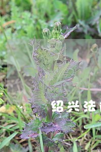 绍兴法院司法雇员招录考试 绍兴法院司法雇员招录考试
