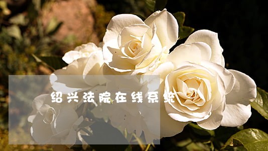绍兴法院在线系统