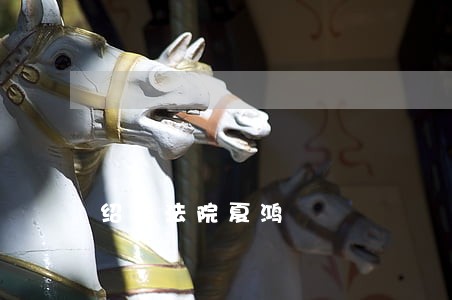 绍兴法院夏鸿 绍兴法院夏鸿