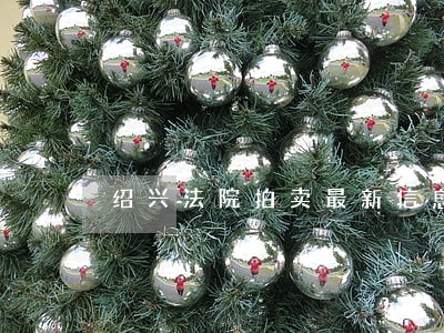 绍兴法院拍卖最新信息 绍兴法院拍卖最新信息