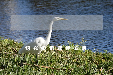 绍兴申诉律师收费 绍兴申诉律师收费