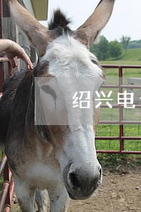 绍兴电子违法怎么处理吗 绍兴电子违法怎么处理吗