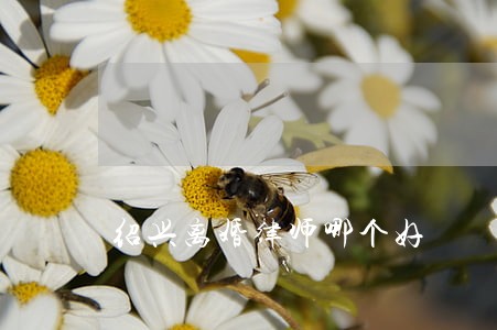 绍兴离婚律师哪个好 绍兴离婚律师哪个好