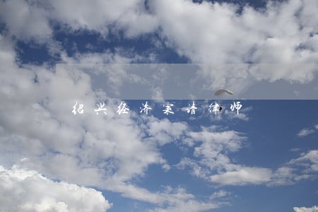 绍兴经济案请律师