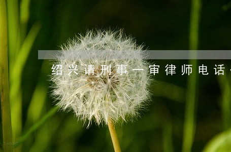 绍兴请刑事一审律师电话咨询 绍兴请刑事一审律师电话咨询