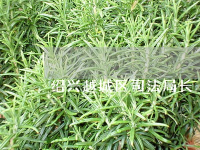 绍兴越城区司法局长 绍兴越城区司法局长