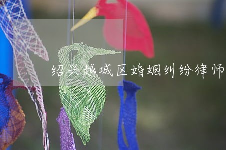 绍兴越城区婚姻纠纷律师 绍兴越城区婚姻纠纷律师