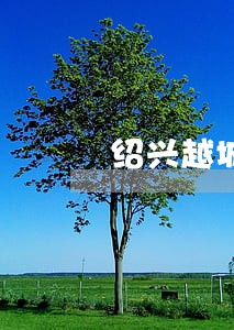 绍兴越城法院姜卫东 绍兴越城法院姜卫东