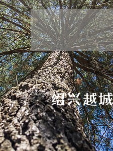 绍兴越城法院对胡岳熔判决书 绍兴越城法院对胡岳熔判决书