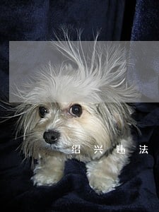 绍兴违法处理中心在哪里