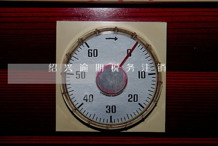 绍兴逾期税务注销