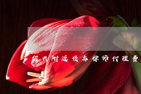 绍兴附近债务律师代理费 绍兴附近债务律师代理费