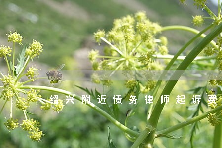 绍兴附近债务律师起诉费用 绍兴附近债务律师起诉费用