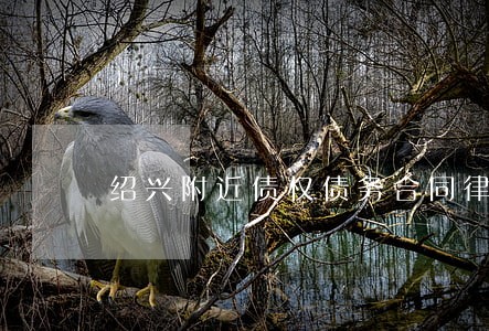 绍兴附近债权债务合同律师哪个好 绍兴附近债权债务合同律师哪个好