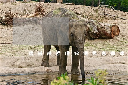 绍兴附近债权债务合同律师团