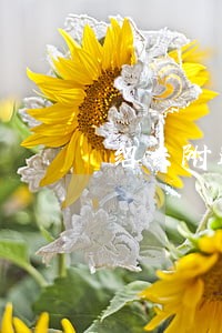 绍兴附近房产律师网站