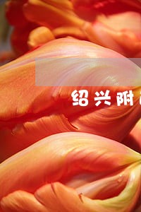 绍兴附近承包合同律师网 绍兴附近承包合同律师网