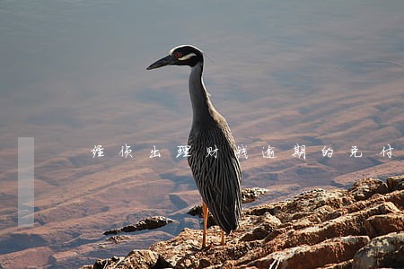 经侦出理财钱逾期的兑付方案 经侦出理财钱逾期的兑付方案