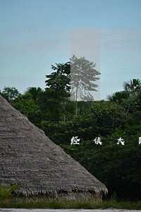 经侦大队打电话给我说信用卡逾期