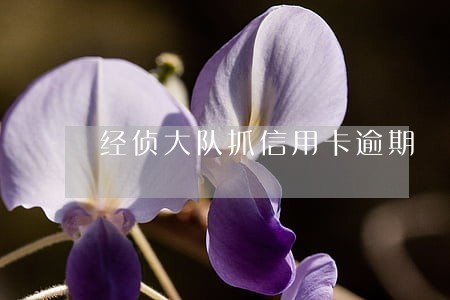 经侦大队抓信用卡逾期 经侦大队抓信用卡逾期