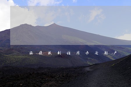 经侦抓到信用卡逾期户 经侦抓到信用卡逾期户